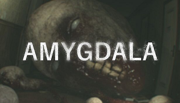 Buy Amygdala