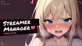 Streamer Manager Simulator