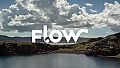 Flow - Dance, release and scream
