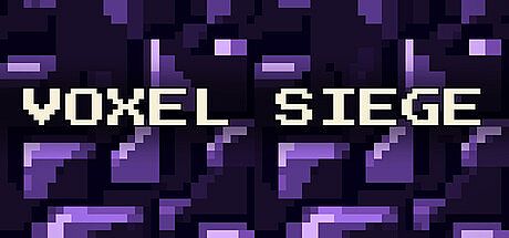 Voxel Siege