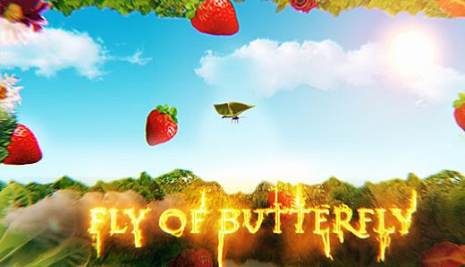 Fly of butterfly