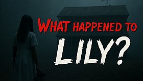 What Happened to Lily?