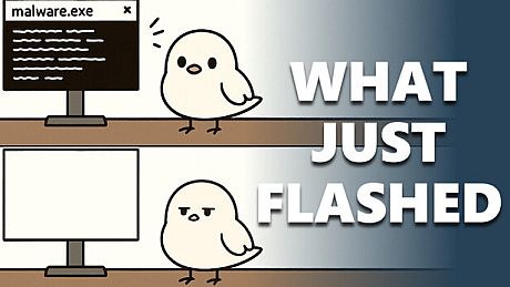 WhatJustFlashed Game