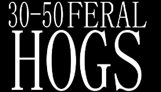 30-50 Feral Hogs
