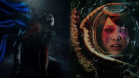 Stasis Bundle Bundle