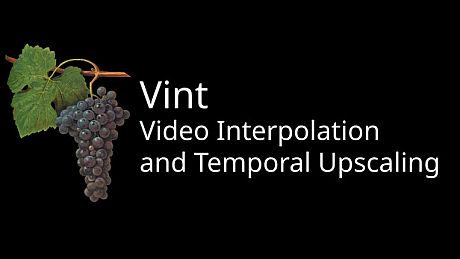 Vint: Realtime Video Interpolation and CRT Emulation Game