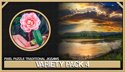 Pixel Puzzles Traditional Jigsaws Pack: Variety Pack 4