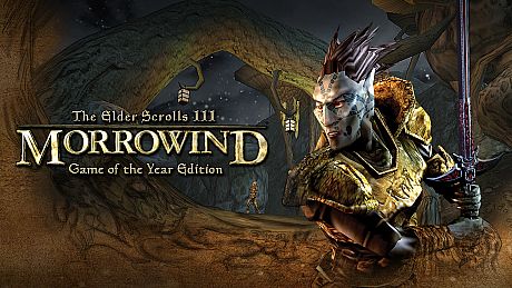Die Elder Scrolls III: Morrowind Game of the Year Edition