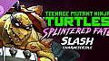 TMNT: Splintered Fate - Slash