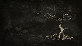 The Dead Tree of Ranchiuna