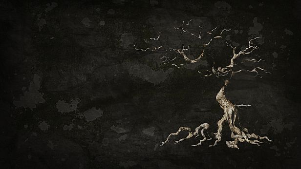 Buy The Dead Tree of Ranchiuna