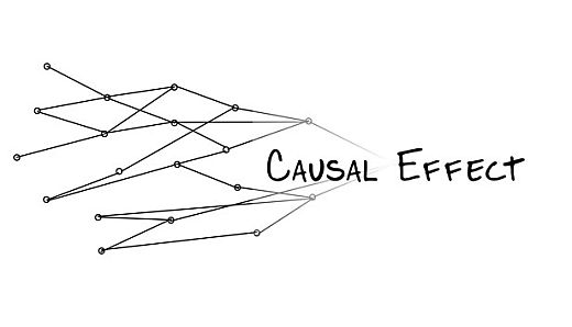 Causal Effect