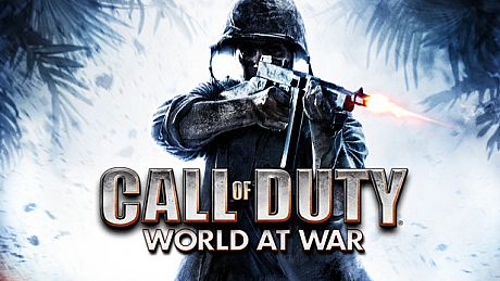 Call of Duty: World at War Game