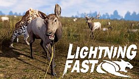 Lightning Fast