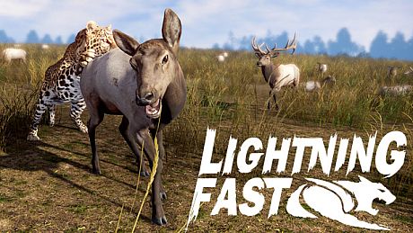 Lightning Fast Game