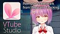 VTube Studio - Remove Watermark