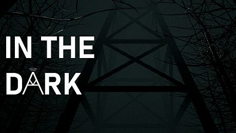 In The Dark Game