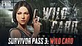 Survivor Pass 3: Wild Card