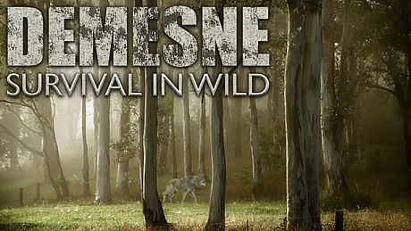 Demesne Game