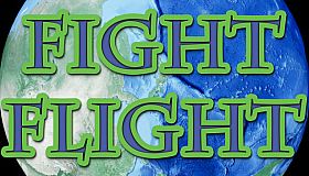 Fight Flight