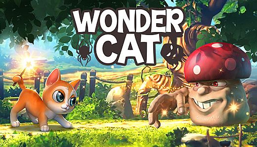 Wonder Cat