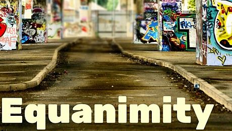 Equanimity Game