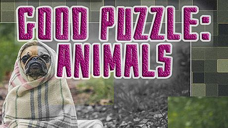 Good puzzle: Animals Game