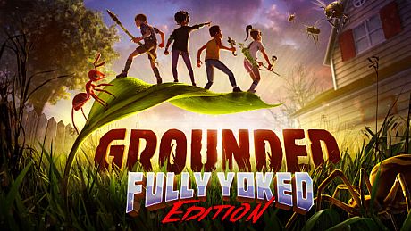 Grounded Game
