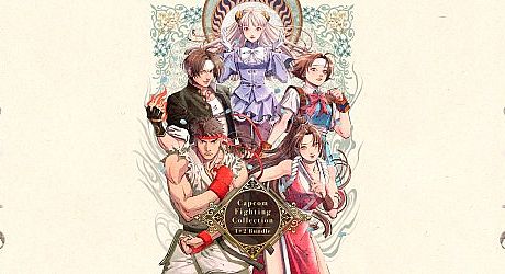 Capcom Fighting Collection 1 + 2 Bundle Bundle