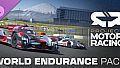 Project Motor Racing: World Endurance Pack