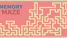 Memory Maze