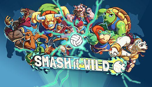 Smash it Wild: Tactical Volleyball Roguelike