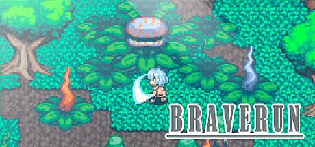 BRAVERUN Game