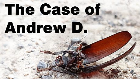 The Case of Andrew D. Game