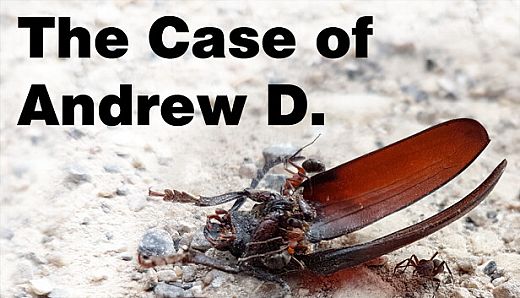 The Case of Andrew D.