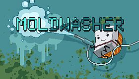 Moldwasher
