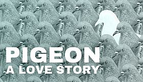 Pigeon: A Love Story