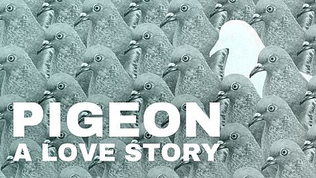 Pigeon: A Love Story Game