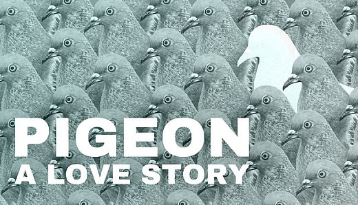 Pigeon: A Love Story