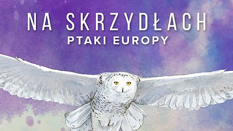 Wingspan: European Expansion DLC