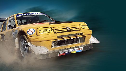 WS - Peugeot 205 T16 Rallycross