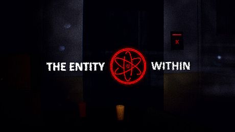 Echoes of the Entity Game