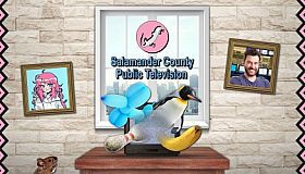 Salamander County Public Television