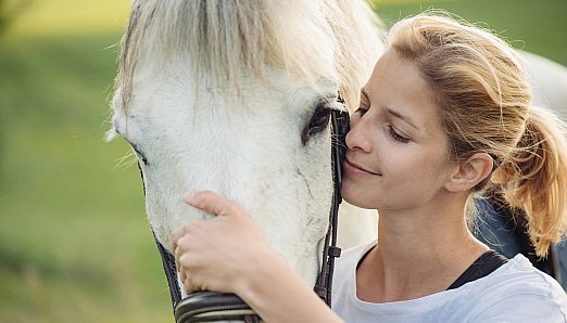 Living with Horses: My Horse Farm