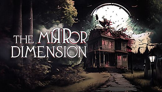 The Mirror Dimension