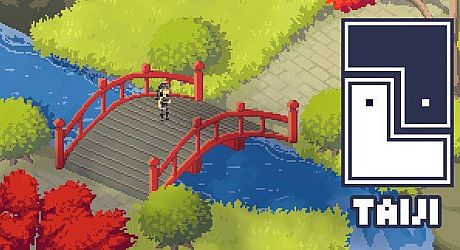 Taiji Game