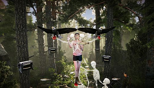 The Forest Cathedral