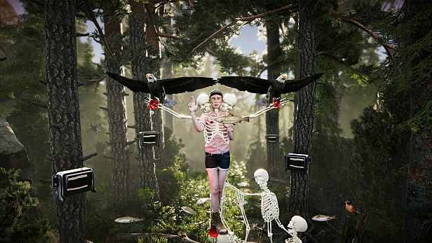 Buy The Forest Cathedral