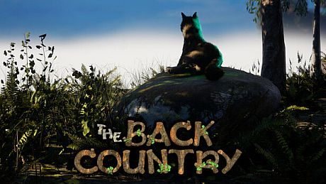 The Back Country Game