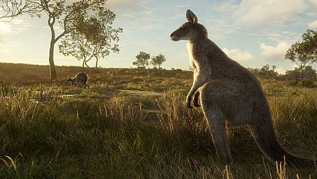 theHunter: Call of the Wild - Emerald Coast Australia Bundle